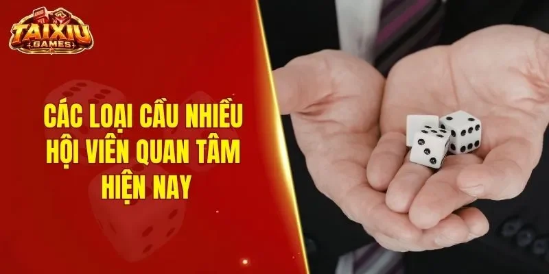 Các loại cầu nhiều hội viên quan tâm hiện nay