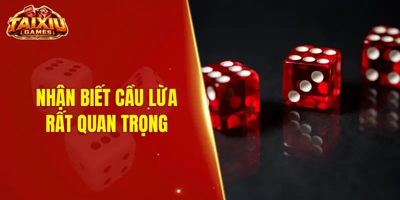 Nhận biết cầu lừa rất quan trọng khi chơi tài xỉu
